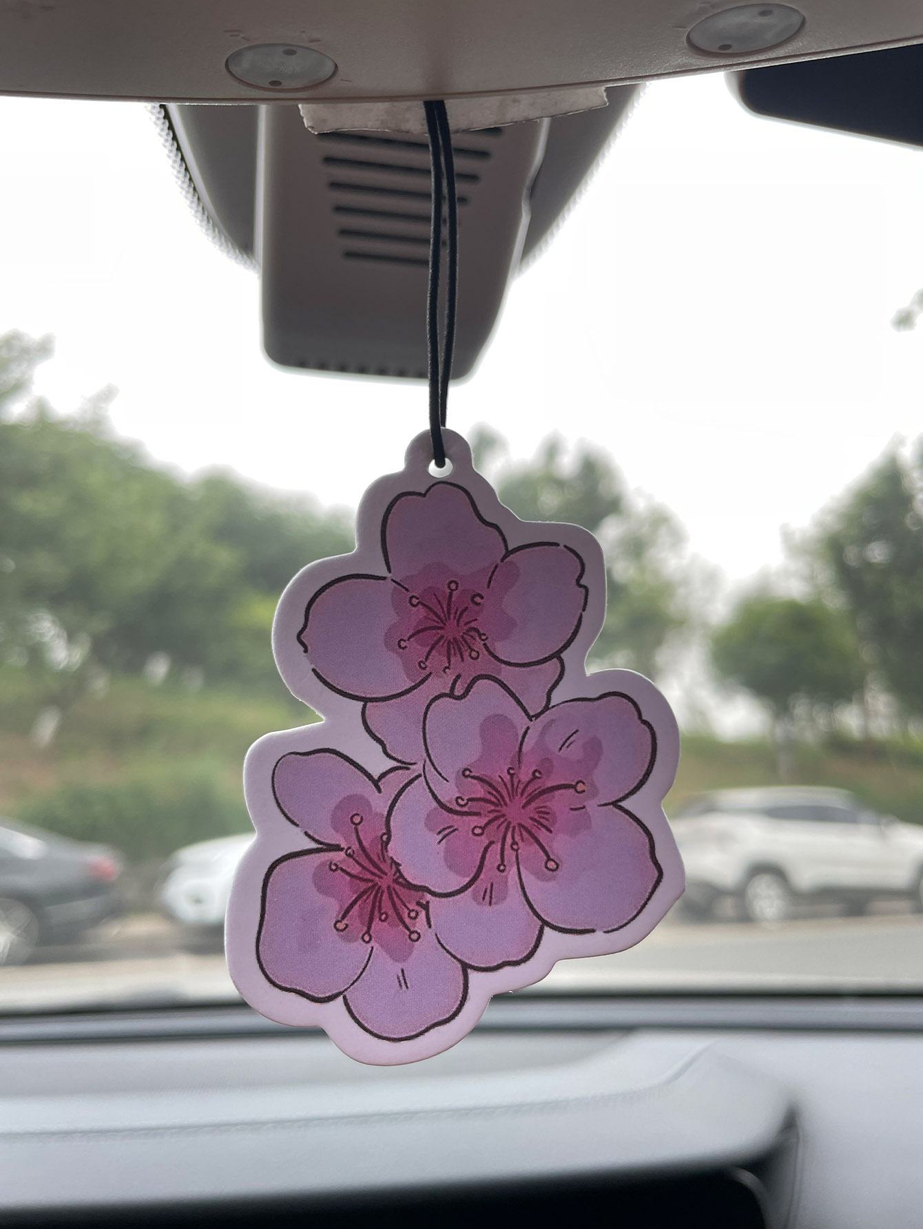 Perfume Fragrance Oil - Sakura/Freesia Frischer Duft Fünf-Sterne Neutraler Auto-Duftspender